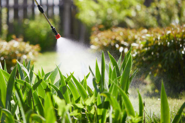 Tamper-Resistant Bait Stations for Rodents in Homosassa Springs