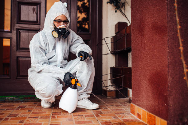 Attic and Crawl Space Rodent Treatment in Homosassa Springs