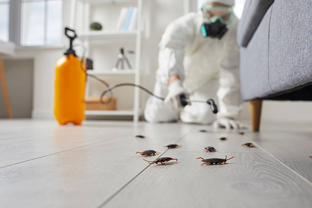 Commercial Rodent Management in Homosassa Springs